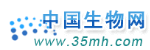合作媒体